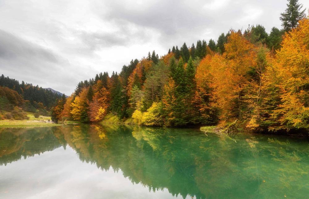 Sumérgete en una naturaleza que emociona